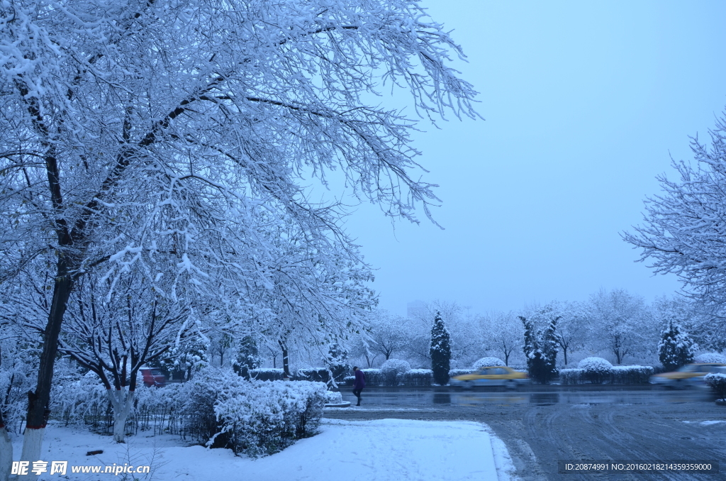 雪景