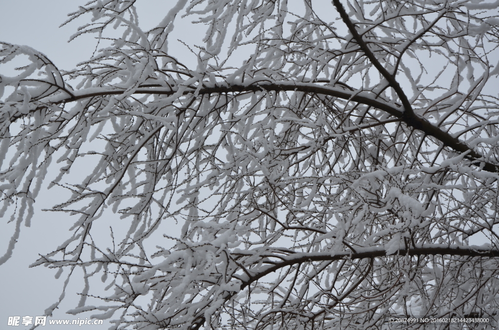 雪景