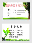 苗木名片