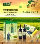 猕猴桃酒海报