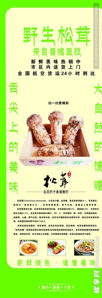 绿色食物展架