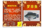 罗非鱼宣传单