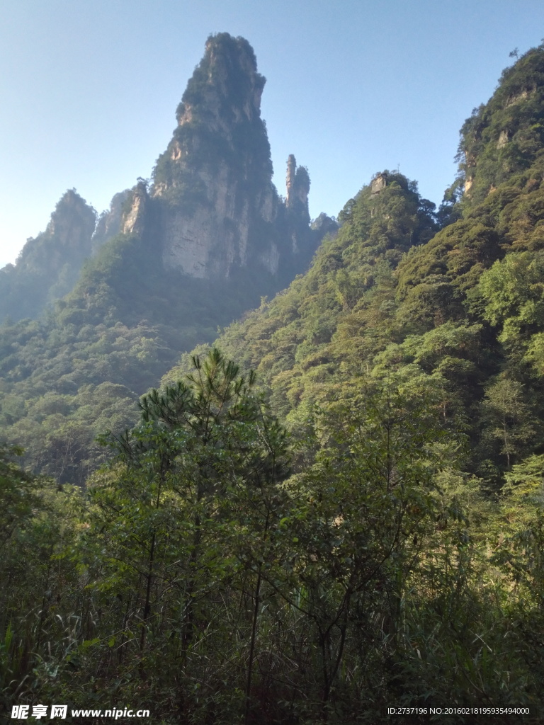 武陵源森林公园