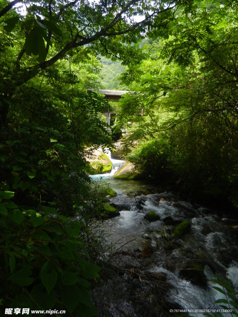 神农架山涧