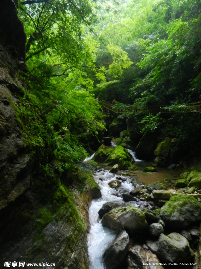 神农架山涧