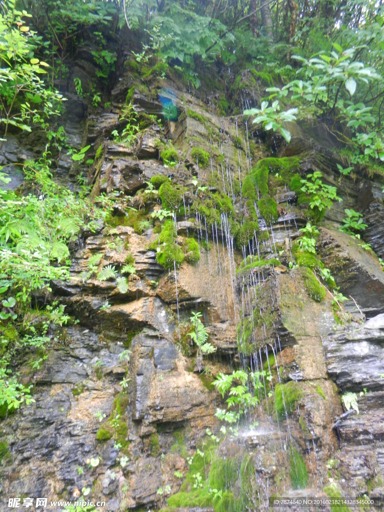 神农架风光