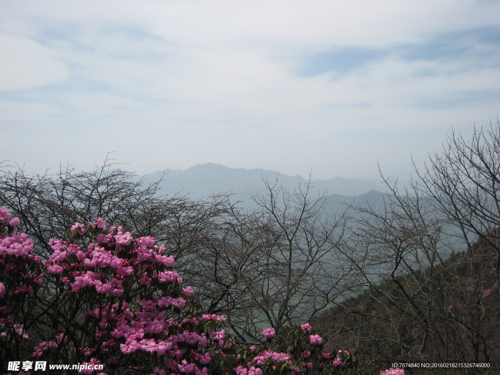 神农架风光