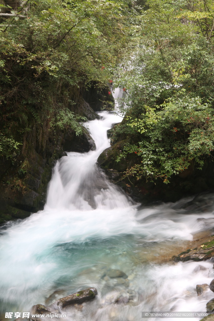 神农架山涧