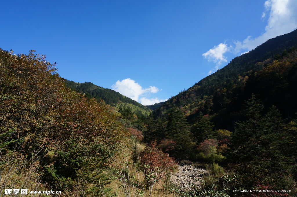 神农架风光