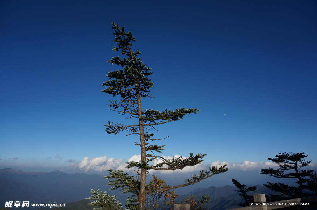 神农架山顶