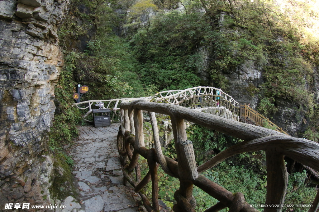 神农架景区山路