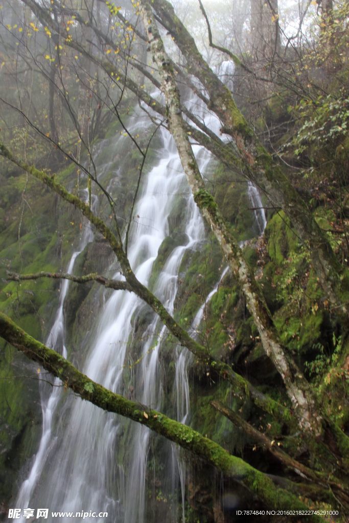 神农架山涧