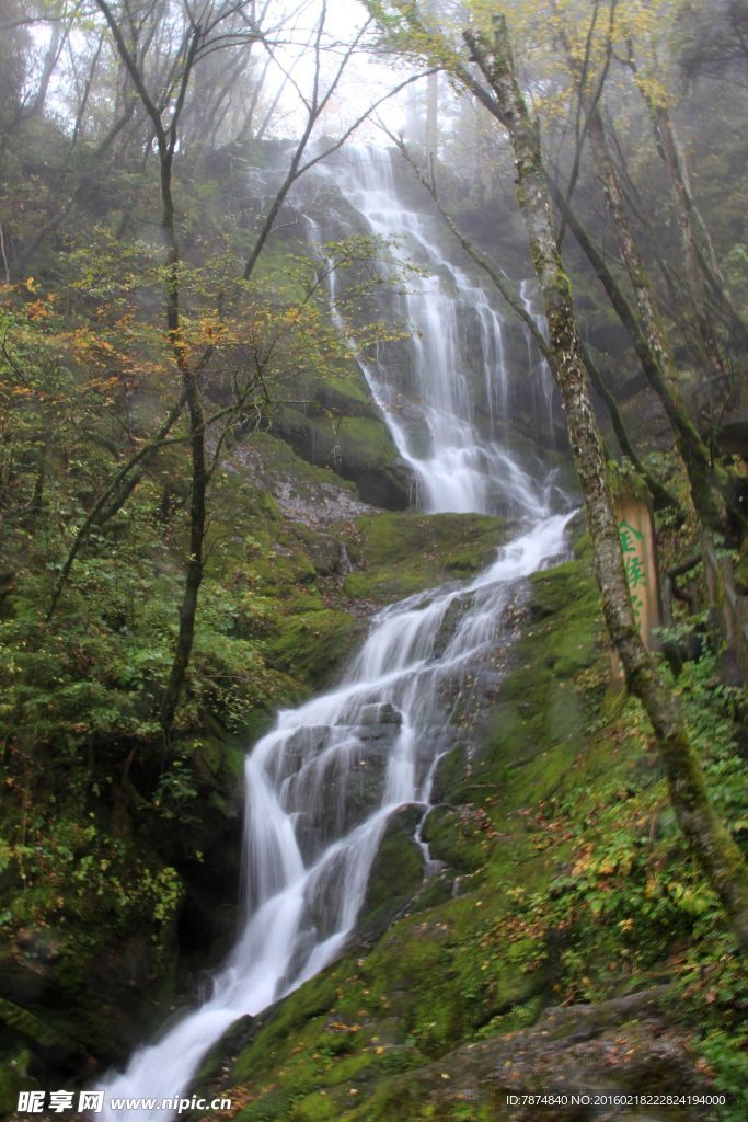 神农架山涧