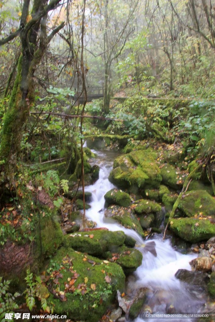 神农架山涧