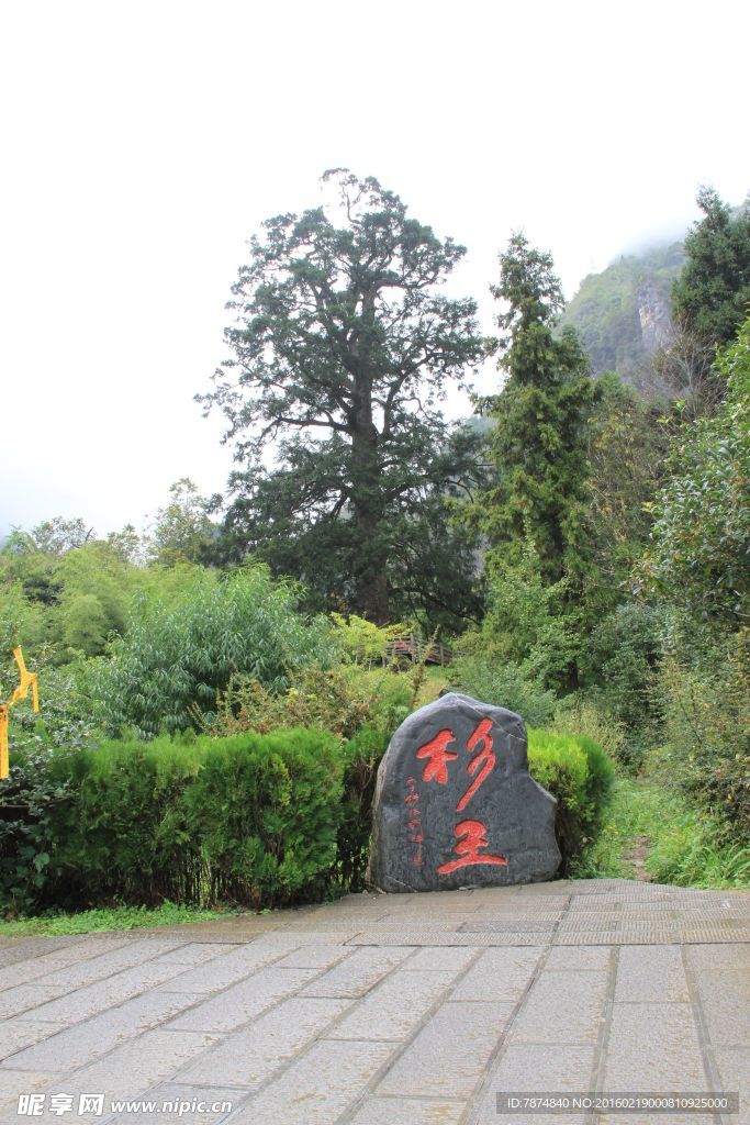 神农架风光