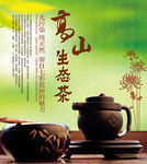 高山生态茶茶艺文化海报