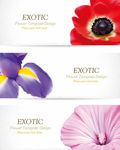 精美鲜花旗帜矢量图