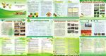 绿色生态农业画册