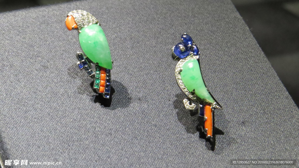 鹦鹉胸针
