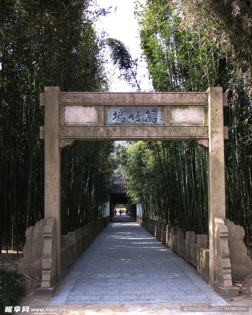 万竹坞