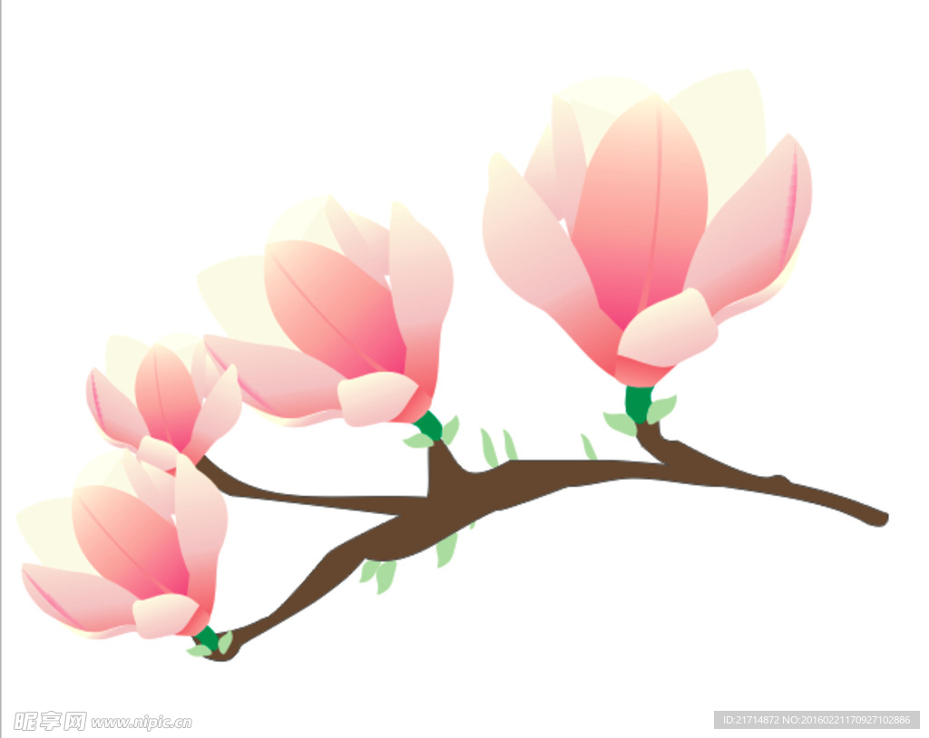 木兰