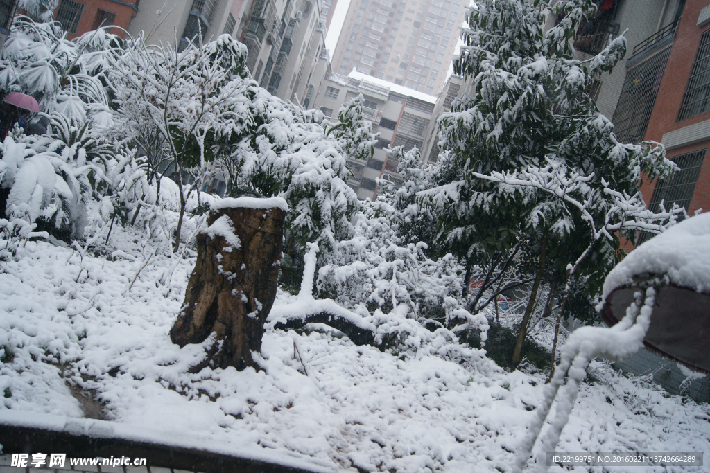 冬天雪景