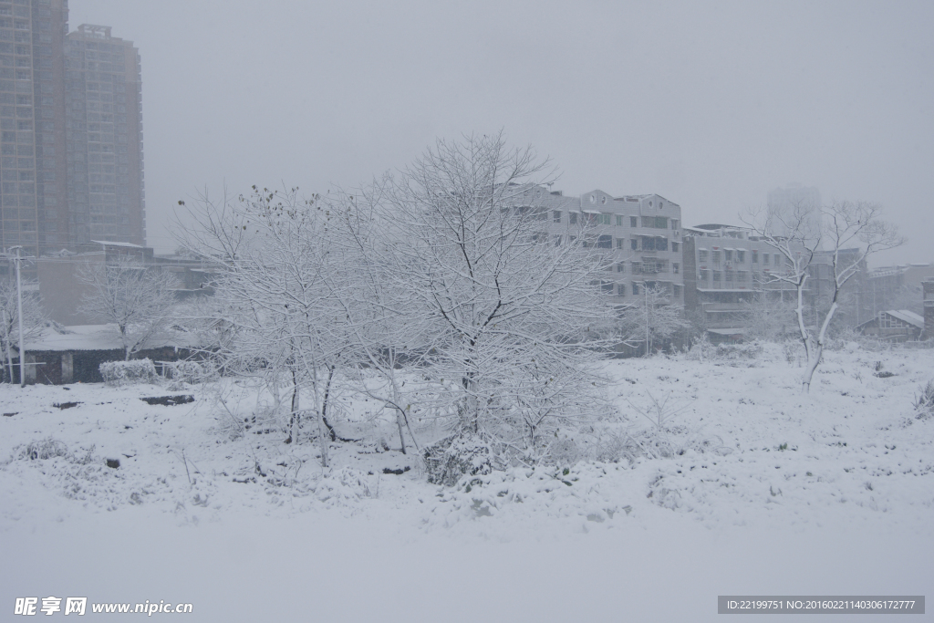 冬天雪景