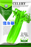 芹菜种子包装