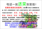 蔬菜市场 传单