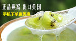 淘宝钻展图片 出口燕窝