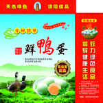 鲜鸭蛋礼品箱
