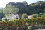 乡村风景 山村民居