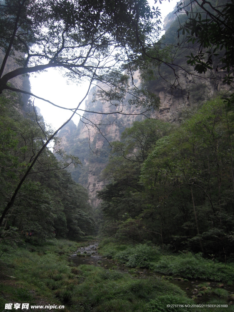 湖南森林公园