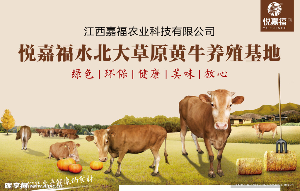 黄牛   海报  宣传