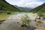 九寨沟 山水