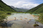 九寨沟 山水