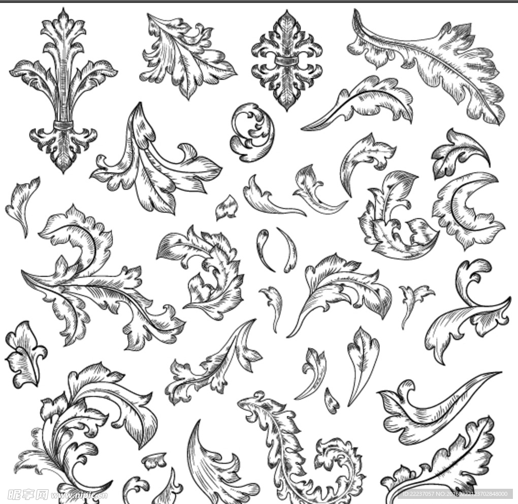 花纹