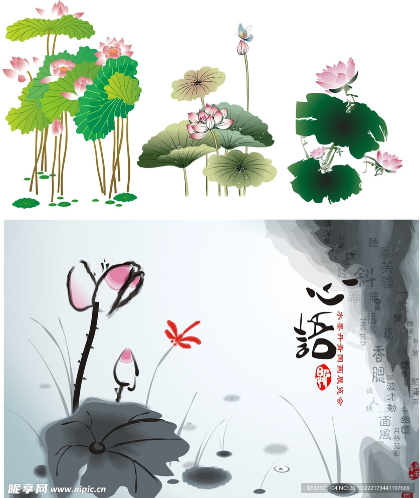 荷花