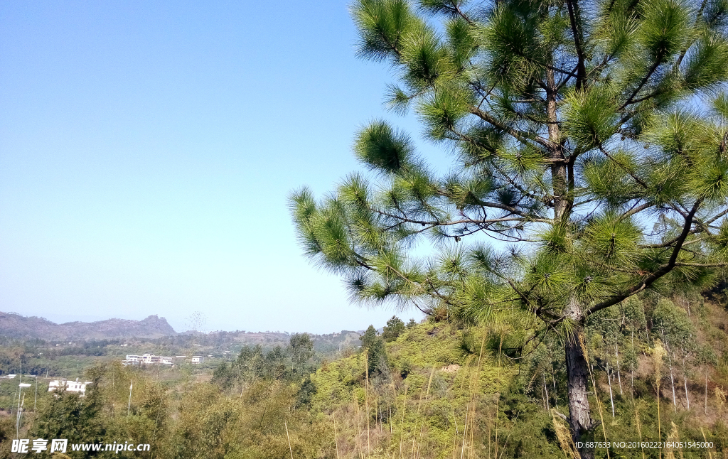 河源梧桐山