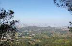 河源梧桐山