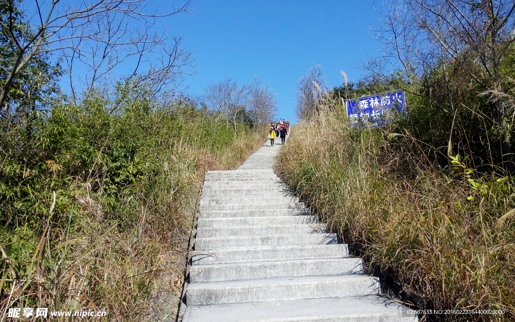 河源梧桐山