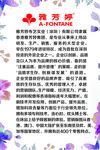 香港雅芳婷公司简介
