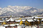 雪景