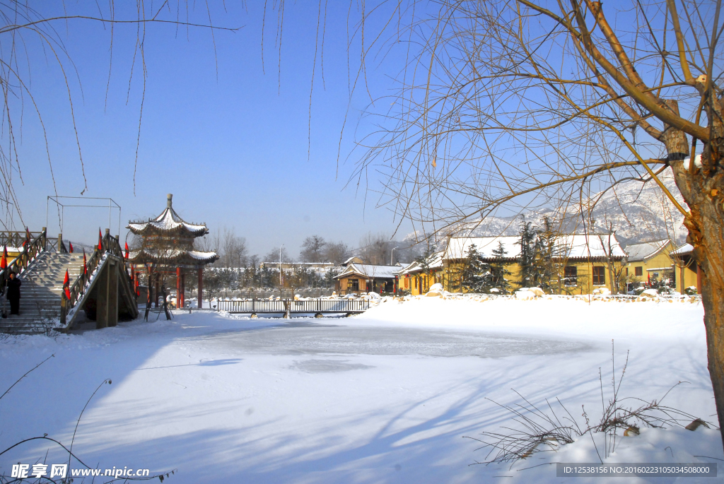 雪景