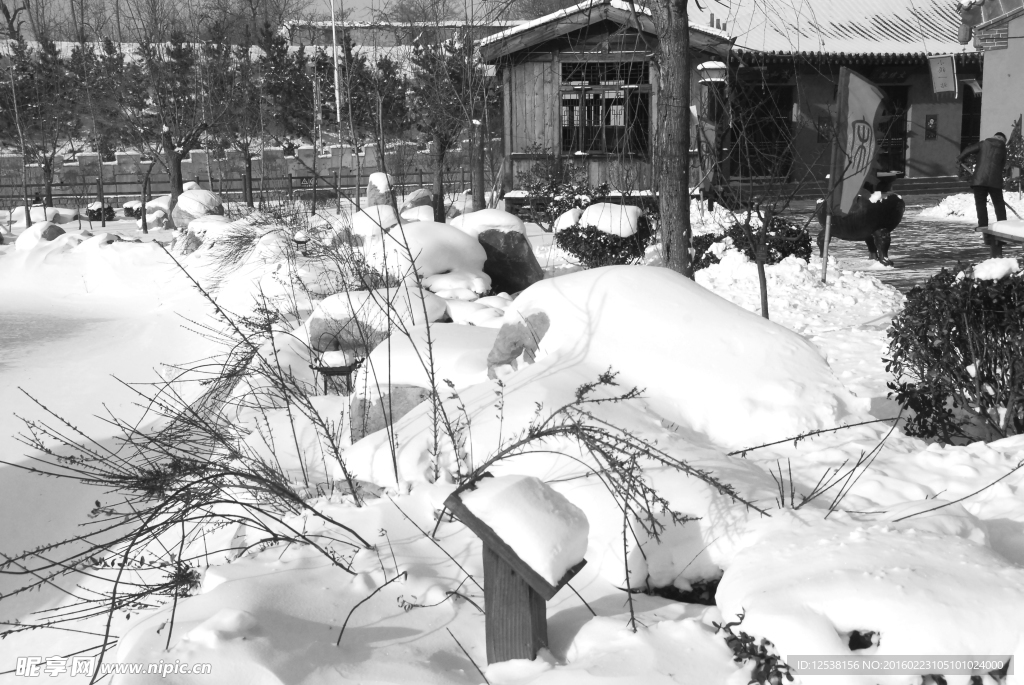 雪景