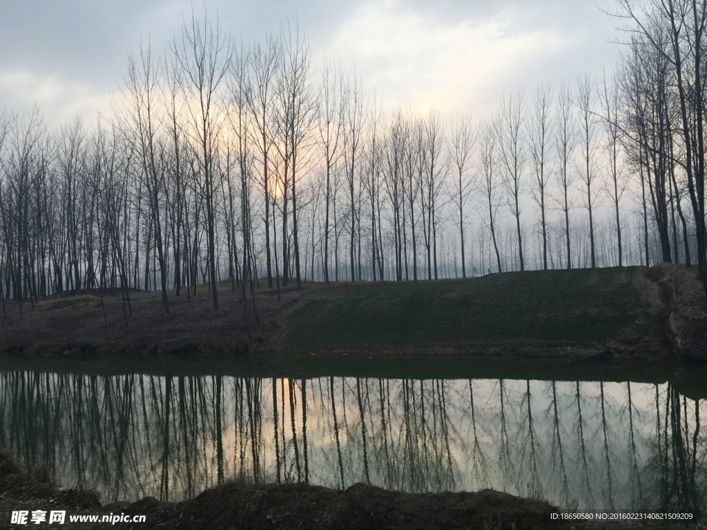 夕阳下的冬景