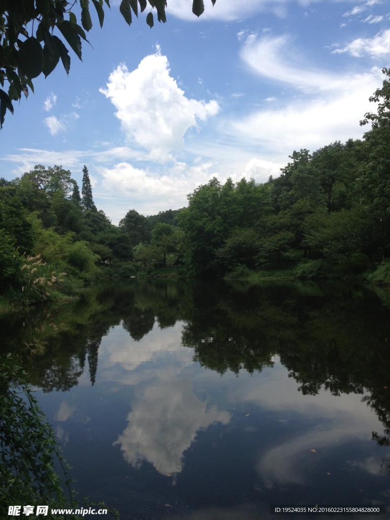 镜像风景