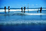 斯里兰卡渔民出海捕鱼