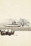 中国风工笔画 雪