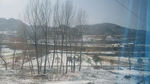 雪地 火车沿途风景